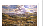 Cairngorms from Kinrara, 1988 by Tim Scott Bolton