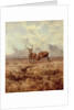 Red Stags, Ben Buie, 1982 by Tim Scott Bolton