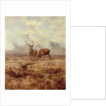 Red Stags, Ben Buie, 1982 by Tim Scott Bolton