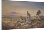 Cheetah with Kilimanjaro in the background, 1991 by Tim Scott Bolton