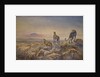 Cheetah with Kilimanjaro in the background, 1991 by Tim Scott Bolton