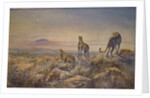 Cheetah with Kilimanjaro in the background, 1991 by Tim Scott Bolton
