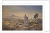 Cheetah with Kilimanjaro in the background, 1991 by Tim Scott Bolton