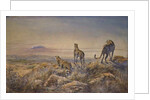 Cheetah with Kilimanjaro in the background, 1991 by Tim Scott Bolton