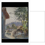 Kawardha Village with Cows, 2013 by Tim Scott Bolton