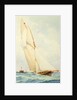 Schooner under Sail by Barlow Moore