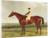 Bee's Wing by Harry (attr. to) Hall