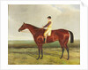 Bee's Wing by Harry (attr. to) Hall