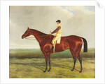 Bee's Wing by Harry (attr. to) Hall