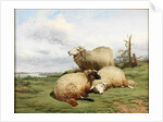 Midday Repose by Thomas Sidney Cooper