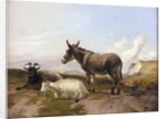 On the Downs by Thomas Sidney Cooper