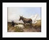 On the Downs by Thomas Sidney Cooper