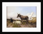 On the Downs by Thomas Sidney Cooper