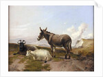On the Downs by Thomas Sidney Cooper