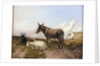 On the Downs by Thomas Sidney Cooper
