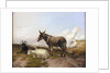 On the Downs by Thomas Sidney Cooper