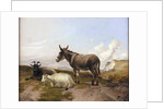 On the Downs by Thomas Sidney Cooper