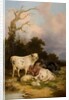 Cattle and Sheep by Thomas Sidney Cooper (after)