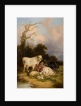 Cattle and Sheep by Thomas Sidney Cooper (after)