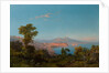 View of the Bay of Naples by Consalvo Carelli
