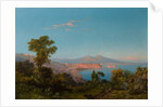 View of the Bay of Naples by Consalvo Carelli