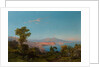 View of the Bay of Naples by Consalvo Carelli