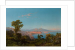 View of the Bay of Naples by Consalvo Carelli