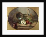 Still Life by Mrs. Alexander Farmer