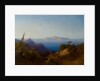 View of Capri by Consalvo (attr. to) Carelli