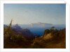 View of Capri by Consalvo (attr. to) Carelli