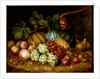 Study of Fruit by George Gray