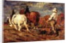 Ploughing by Thomas Austen Brown