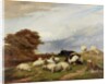 In the Marshes near Ramsgate, Isle of Thanet by Thomas George Cooper