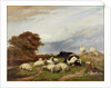 In the Marshes near Ramsgate, Isle of Thanet by Thomas George Cooper