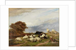 In the Marshes near Ramsgate, Isle of Thanet by Thomas George Cooper