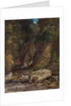 Rocks and Trees with Stream by James B. Dalziel