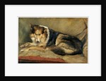 Collie Dog by William Henry Charlton