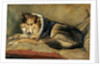 Collie Dog by William Henry Charlton