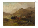Summertime on the Cheviots by Thomas Henry Gibb