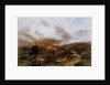 Landscape with Cattle by Peter Graham
