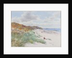 Warkworth Sands by William Cosens Way