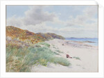 Warkworth Sands by William Cosens Way