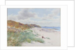 Warkworth Sands by William Cosens Way