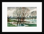 Willows by Christopher Richard Wynne Nevinson