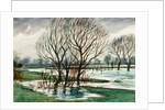 Willows by Christopher Richard Wynne Nevinson
