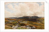 Moorland Scene by Thomas Collier