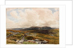 Moorland Scene by Thomas Collier