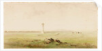 Burgh Marsh by Henry Burdon Richardson