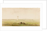 Burgh Marsh by Henry Burdon Richardson