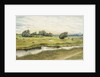 Ryton Meadows by James Henry Cleet